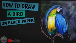 HOW TO DRAW A BIRD || BIRD DRAWING TUTORIAL