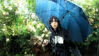 whyhaze - the flower we saw that day *music video*