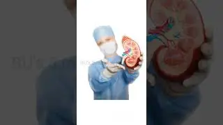 #viral #whatsappstatus #viralvideo #ytshorts #respect #youtubeshorts #reels #trending #gk #fact