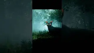 That cute Cat 🐈&zwj;⬛ | Flow edit