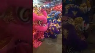 Lam Hai Kwan Hock Tua lion dance and dragon dance 