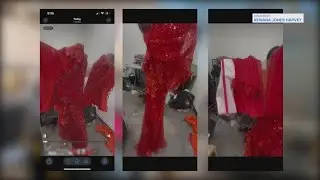 Senior's prom dream ruined after Houston designer fails to deliver custom-made dress