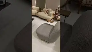 MORDEN LUXURY living room chair SET 🤩 #ytshorts #shorts #mordenfurniture #MOONWORLDINTERIOR