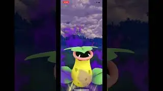 Shadow Victreebel 💀