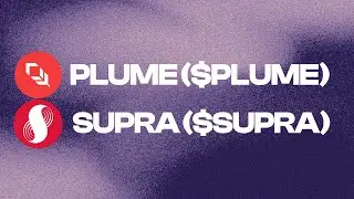 WHAT IS PLUME ($PLUME) COIN? I SUPRA ORACLES ($SUPRA) COIN? I RWA & ORACLE PROJECT REVIEW