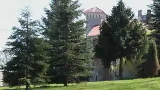 Sarnaki