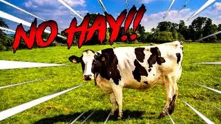 🐮​ESCASEZ DE VACAS!! | LA Leyenda de LA LECHUGA - Cap. 2 || Minecraft