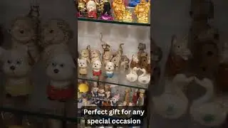 Insights of our store-Eazywagon Bangalore