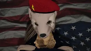 America is F*cked (with No Recourse)