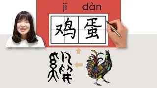 【NEW HSK1】 _#hsk2 How to Pronounce/Say/Write:鸡蛋/鷄蛋/jidan/(egg) Chinese Vocabulary/Character/Radical