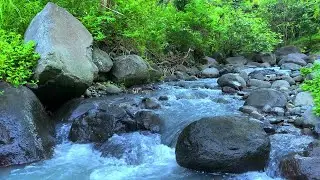 Soft Water Ambience for Peaceful Calm