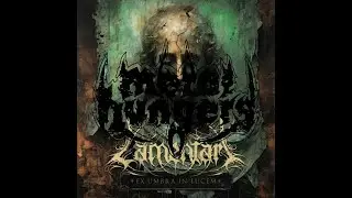Opini&oacute;n Lamentari &Aacute;lbum Ex Umbra In Lucem