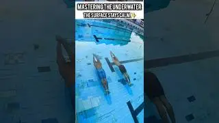 Smooth Dolphin Underwater 🏊🏻 #swim #underwater #howtoswim #deepwater