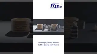 Spring energized seal