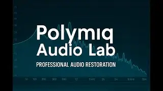 Professional Audio Restoration &ndash; Noise, Click, Hum & Hiss Removal