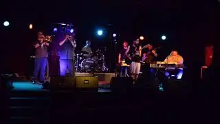 Jungle Fusion - 