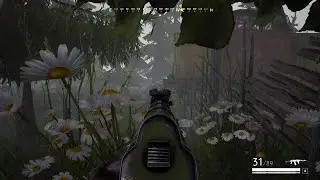 Vigor Stealth Стелс :)