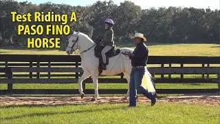 Riding a Paso Fino Horse - 10 yr old girl test rides