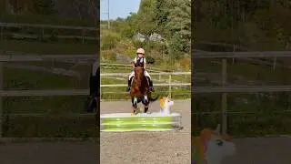 Jumping over a POOL😱💦 #shorts #horse #creator