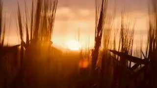Dramatic sound #dramatic #sounds #fx #music_dramatic #sound_cinema #