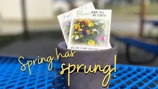 Custom Seed Packets (Personalized Marketing Products)