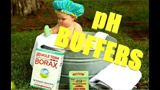 What Borates in Swimming Pools do!