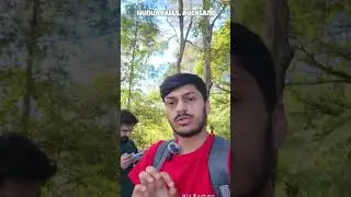 Hunua Falls Part 4 🌊 | Full Tour of Surrounding Tracks & Scenic Views | Hindi Travel Vlog
