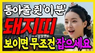 59, 71, 83년생 돼지띠! 2월 귀인이 주는 동아줄잡으세요. 대박 터지는 대운이 시작됩니다