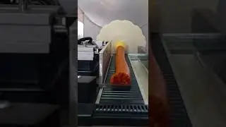 4 апреля 2021 г.
