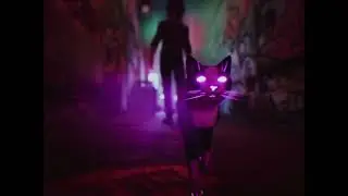 Medium Soft Cat - Give Got (Official Video)