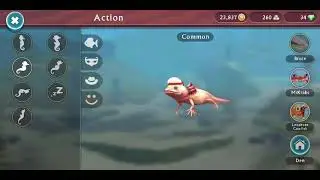 Wildcraft Koi And Axolotl Pet Sounds