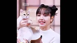 Lisa and lego moment🐱🔅     #lisa #blackpink #라사 #lalisa #blackpinkedit #blackpinklisa #shorts #kpop
