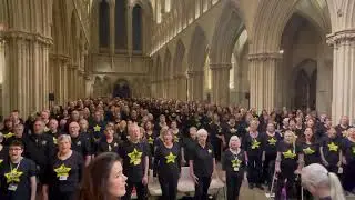 Wells Cathedral: A Thousand Years by Rock Choir Wiltshire & Somerset