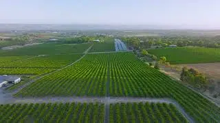 Drone highlights from Oliver's Taranga in McLaren Vale (4K, Video 1)