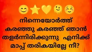 നിന്നെയോർത്ത് കരഞ്ഞു കരഞ്ഞ് ഞാൻ തളർന്നിരിക്കുന്നു എനിക്ക് മാപ്പ് തരികയില്ലേ നീ?