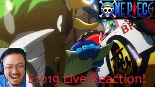 SUUUUPERRRR!!! - Manga Reader Reacts to One Piece Episode 1019 REACTION