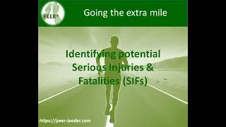 NEW VERSION of PEER Safety Leadership Software