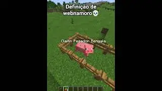 Defini&ccedil;&atilde;o de webnamoro 💀