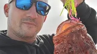 tuto peche combiner madai et palangrotte