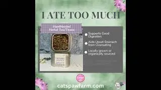 I Ate Too Much Herbal Tea Blend from Cats Paw