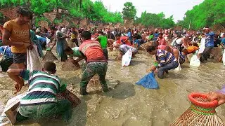 Village Best Polo Festival Fishing | Amazing Competition Fish Catching.