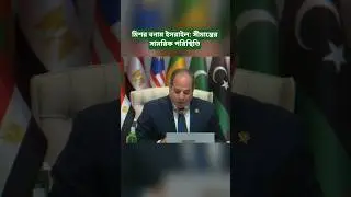 Egypt-Israel Border: Military Situation Update