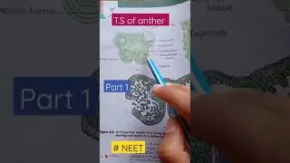T.S. Of young Anther