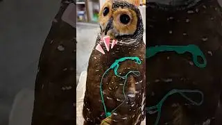 Eww Bibib!!🤮🤢 What is that?!!😱😡