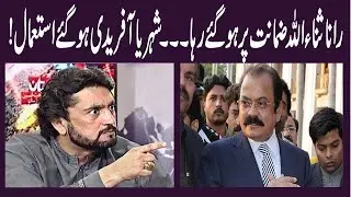 #MJtv Analysis - رانا ثنا اللہ ضمانت پر ہو گئے، شھریار آفریدی استعمال ہو گئے،