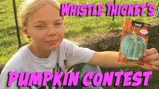 Whistle Thicket's Pumpkin Contest (2018)