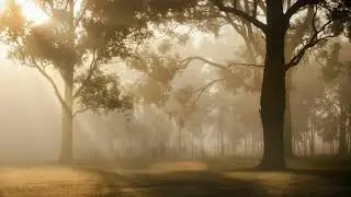 SUNRISE RELAXING MUSIC #relaxing #relaxingmusic #sunrisemusicchannel #calmmusic #tranquility