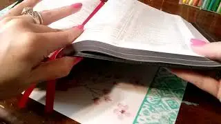 Thompson Chain Reference Bible #review #CBP