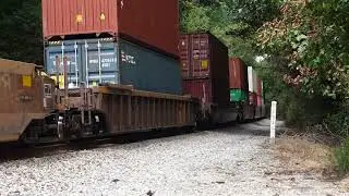 NS Trackage Rights Intermodal with UP Power