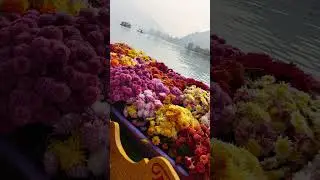 when you Accidentally open my Gallery🎞 #travel related shots #Gowithnature
